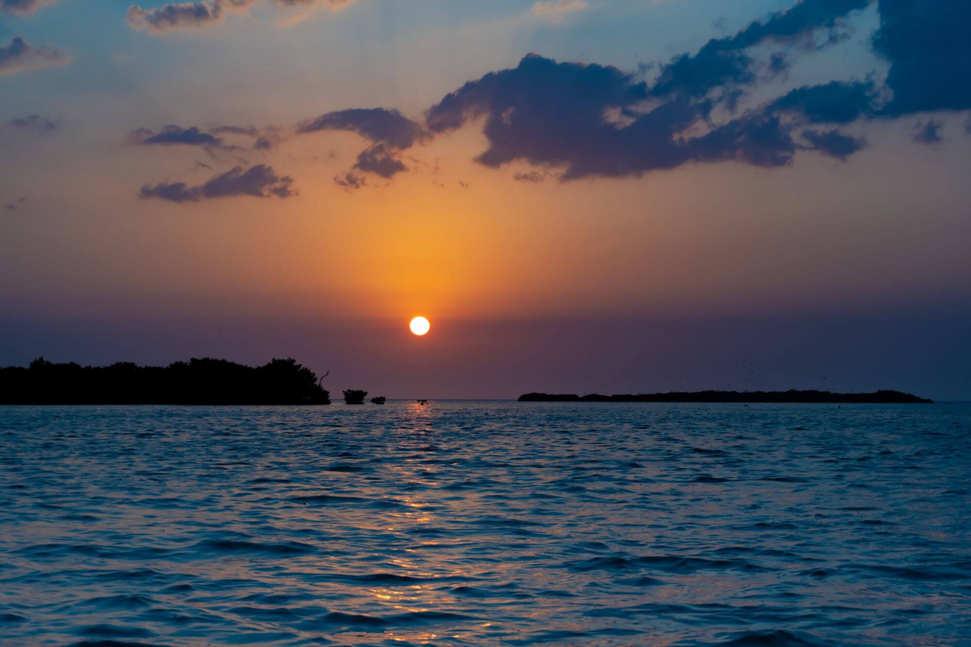Tarpon Cay Lodge Mena Fly Fishing