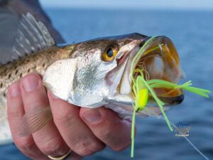 Mexico Trout Fishing