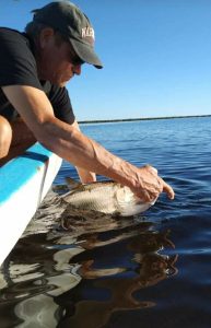 Yucatan Tarpon Fishing Season